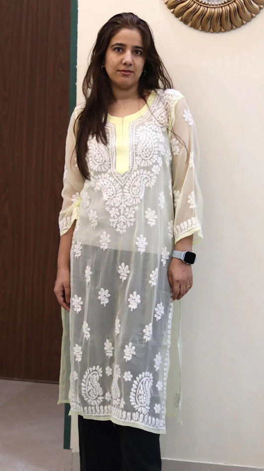 Chiffon Transparent Kurti with heavy embroidery on neck