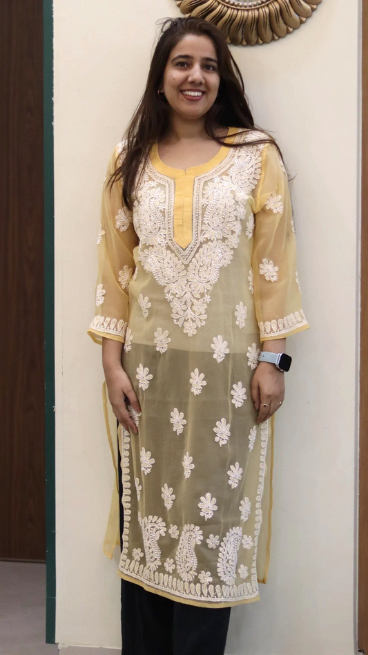 Chiffon Transparent Kurti with heavy embroidery on neck
