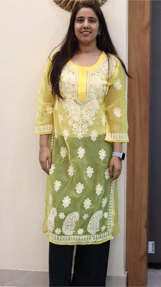 Chiffon Transparent Kurti with heavy embroidery on neck